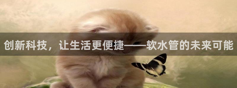 球盟会app最新地址在哪找