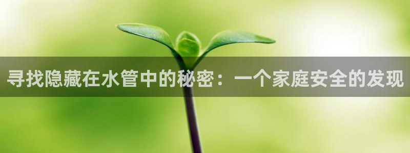 球盟会头号玩家