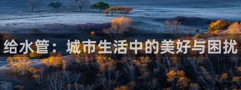 球盟会在线登录