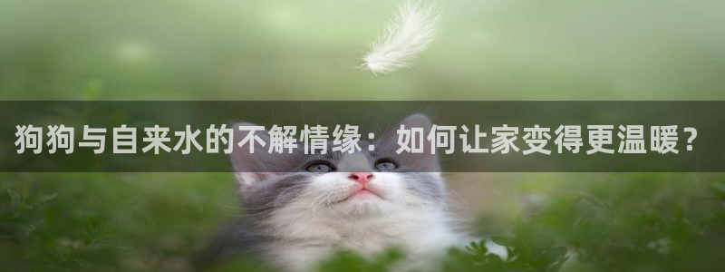 球盟会网页版登陆