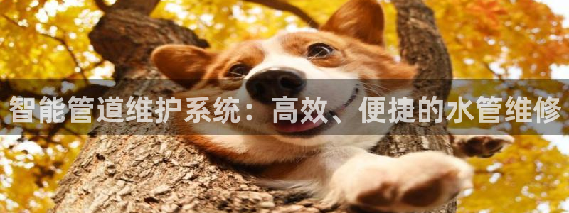 球盟会官方客服