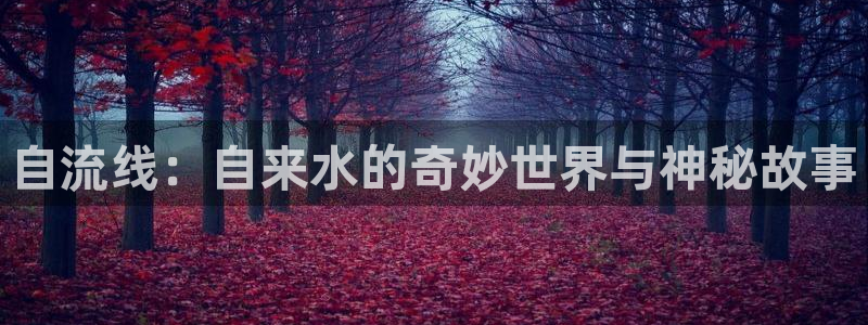 球盟会体育平台