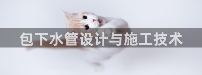 球盟会网页登录入口