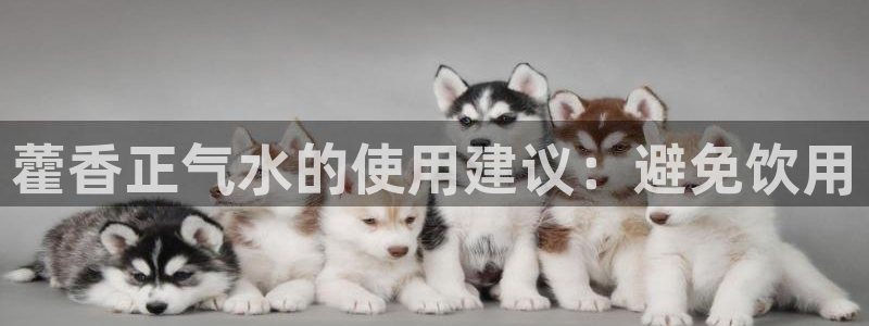 球盟会可以提现么