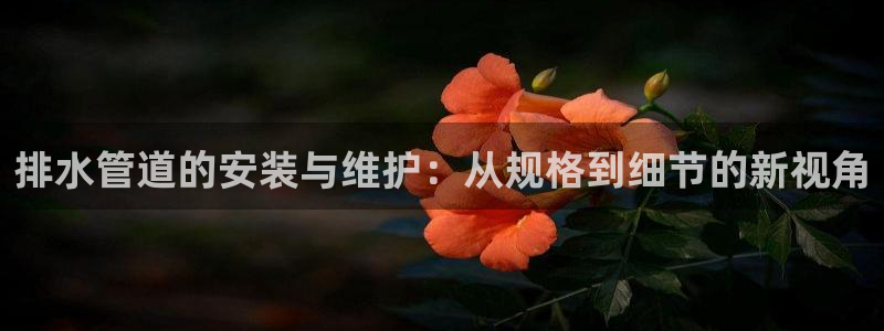 球盟会综合体育平台怎么样