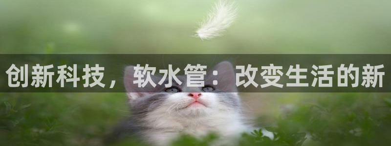 球盟会和中欧合作吗