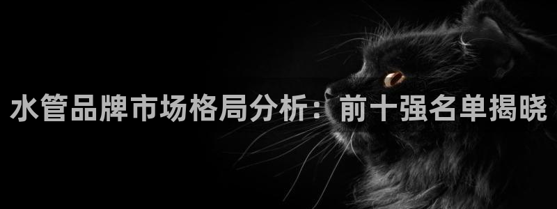 球盟会qmh登录地址