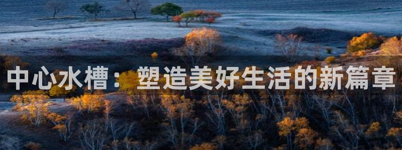 球盟会app网址多少