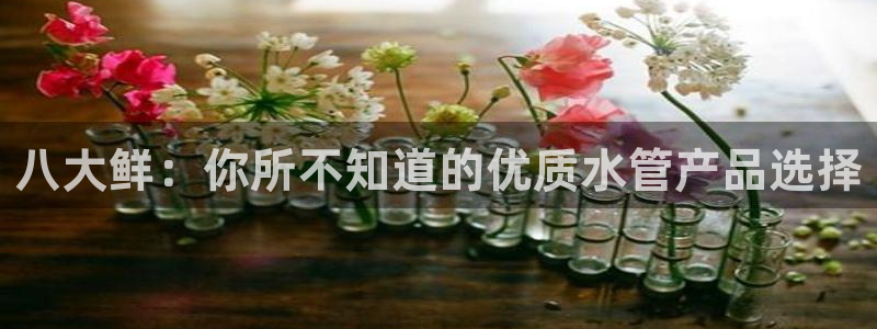 球盟会黑款吗