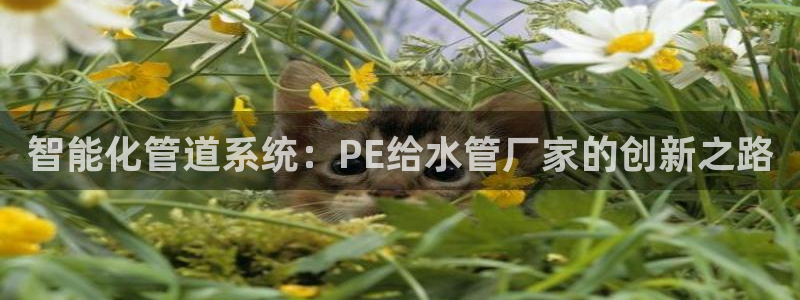 球盟会娱乐平台