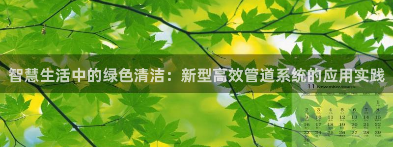 球盟会官方网站app