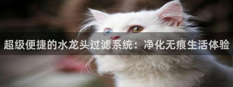 球盟会和中欧会的区别