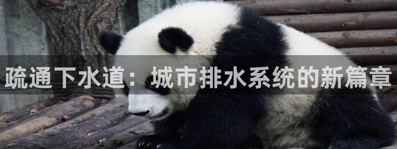 球盟会app最新地址在哪找