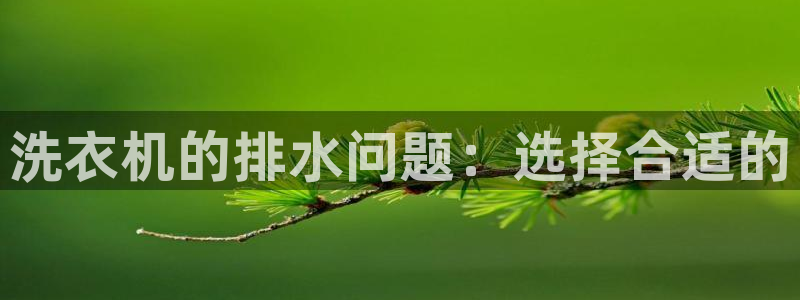 球盟会手机网页版