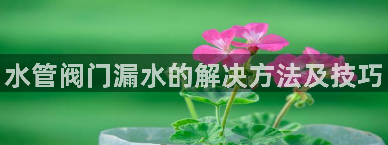 球盟会平台会黑单吗