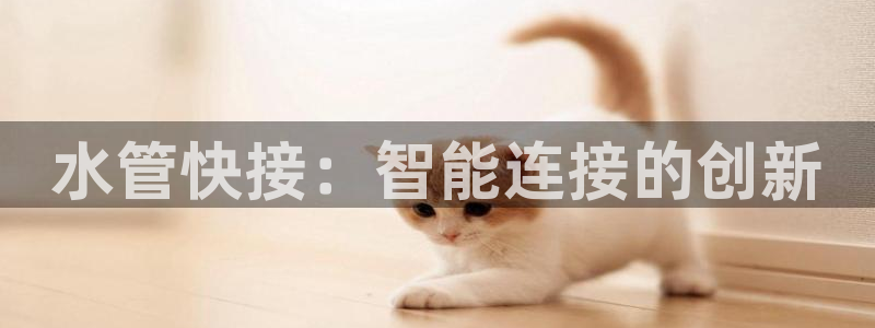 球盟会最新地址备用