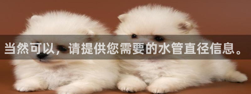 球盟会进不去球员吗