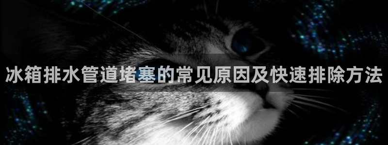 球盟会中国官方网站