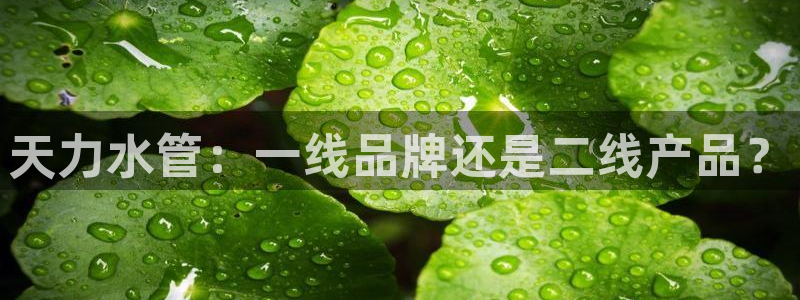 球盟会app最新地址在哪找
