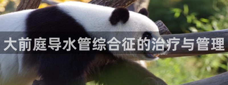 千亿球盟会乐玩