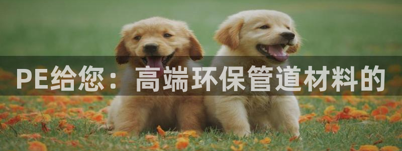 球盟会中国官方网站