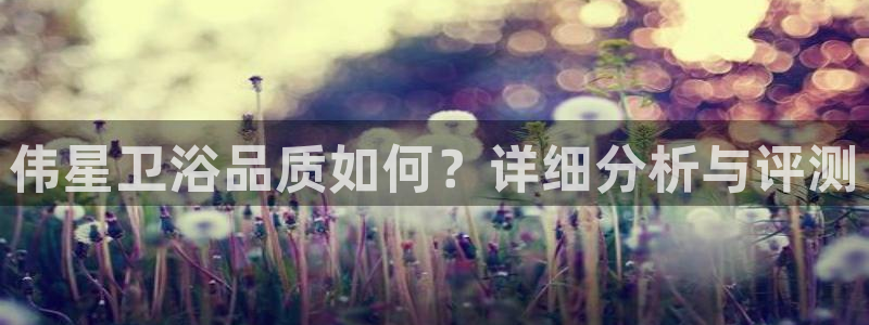 球盟会app最新地址在哪