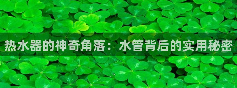 球盟会中国官方网站