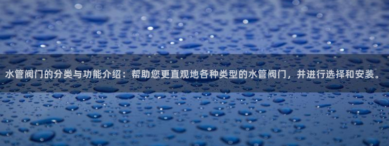 球盟会官方网站app