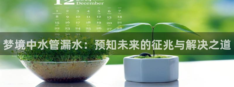 球盟会qmh网页版登录 - qm球盟会官方网站