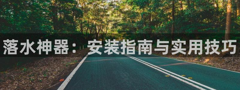 球盟会最新地址备用