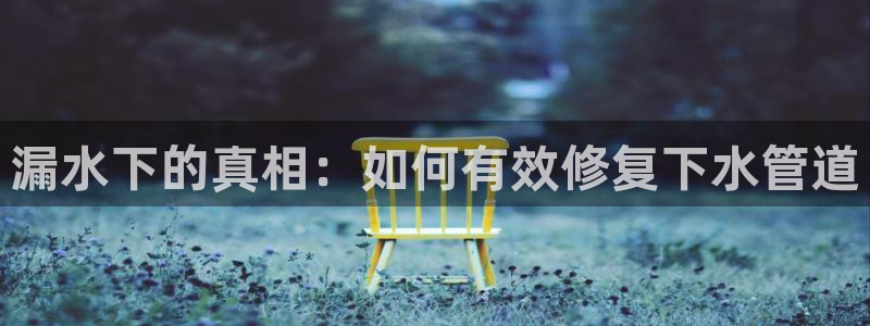 球盟会app最新地址在哪找