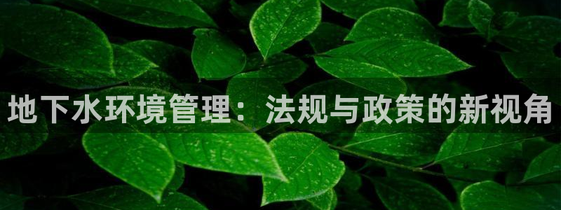 球盟会登陆