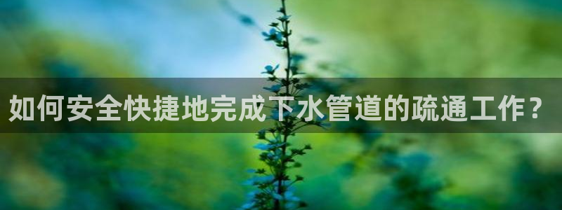 球盟会官方网页登录