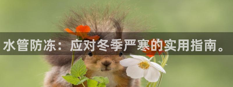 球盟会app手机登录