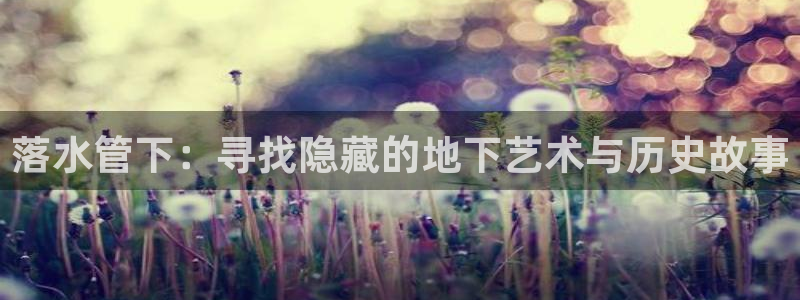 球盟会网址多少