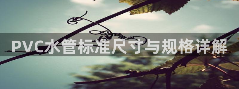 球盟会黑款吗是真的吗