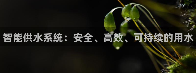 球盟会网址多少