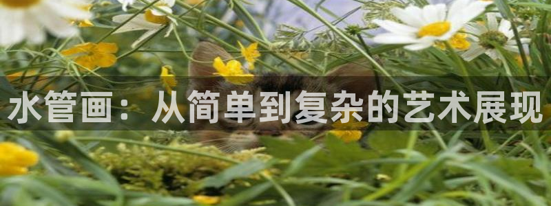 球盟会app最新地址在哪