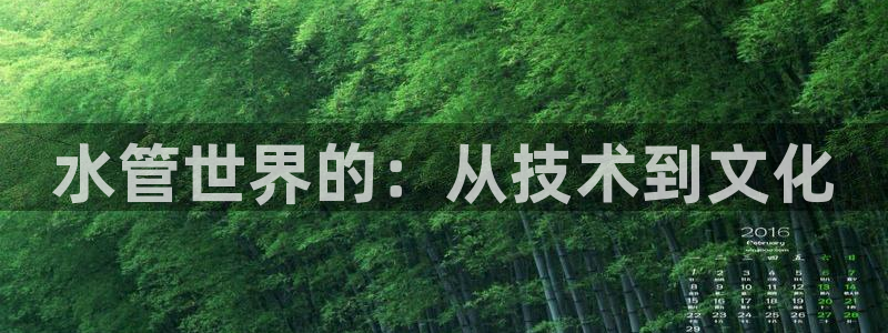 球盟会官方网站是什么