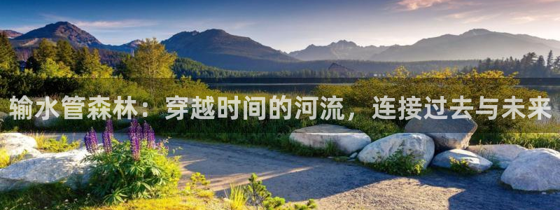 球盟会和中欧合作吗