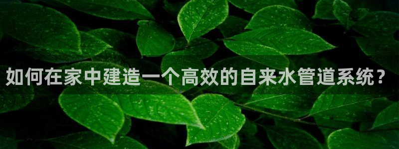 球盟会网址qm9 - 球盟会qmh网页版登录
