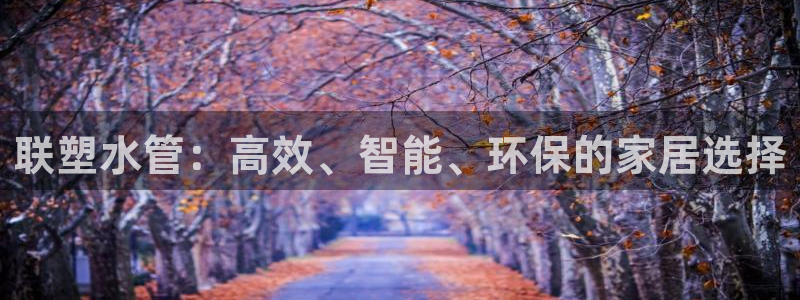 球盟会平台怎么样