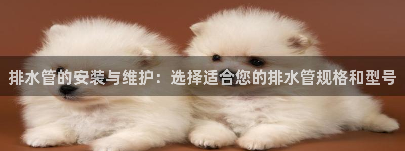 球盟会出款黑了